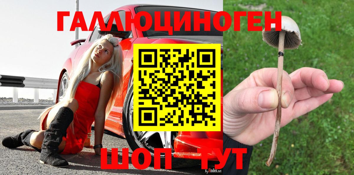 Псилоцибиновые грибы ЛСД Бирск