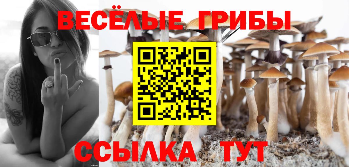Псилоцибиновые грибы GOLDEN TEACHER  Галлюциногенные грибы прущие грибы  Вход с VPN  купить закладку  Бирск 